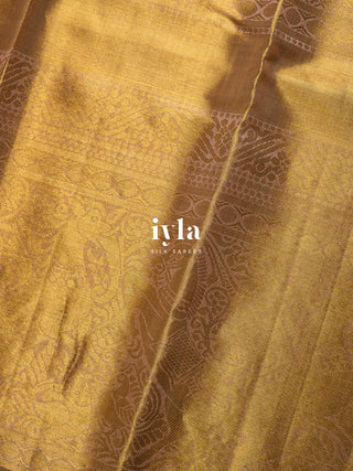 The Wild Horse Kanjeevaram Dipped in Gold