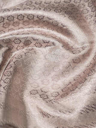 The Wedding Chronicles Kanjeevaram Woven in Silver