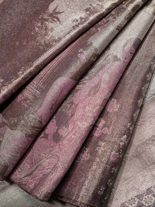 The Wedding Chronicles Kanjeevaram Woven in Silver