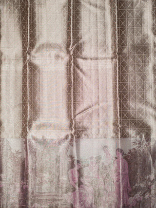 The Wedding Chronicles Kanjeevaram Woven in Silver