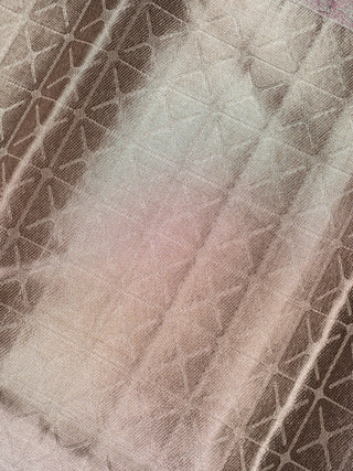 The Wedding Chronicles Kanjeevaram Woven in Silver