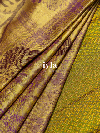 The Wild Cosmos Bloom in Spring Yellow