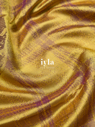 The Wild Cosmos Bloom in Spring Yellow