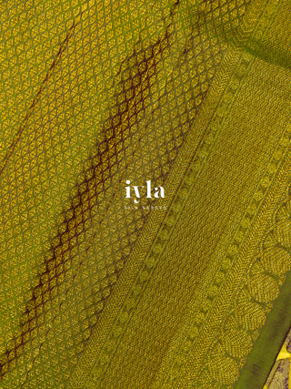 The Wild Cosmos Bloom in Spring Yellow