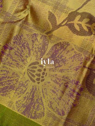 The Wild Cosmos Bloom in Spring Yellow