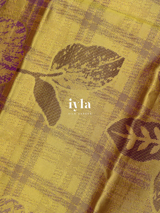 The Wild Cosmos Bloom in Spring Yellow