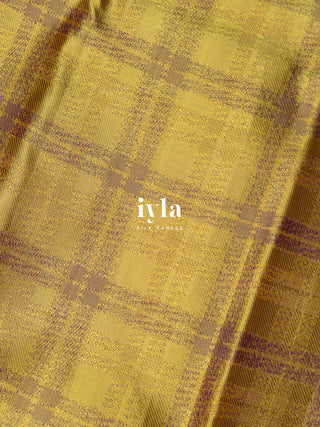 The Wild Cosmos Bloom in Spring Yellow