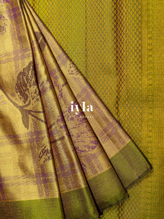 The Wild Cosmos Bloom in Spring Yellow