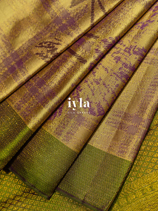 The Wild Cosmos Bloom in Spring Yellow