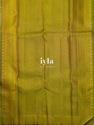 The Wild Cosmos Bloom in Spring Yellow