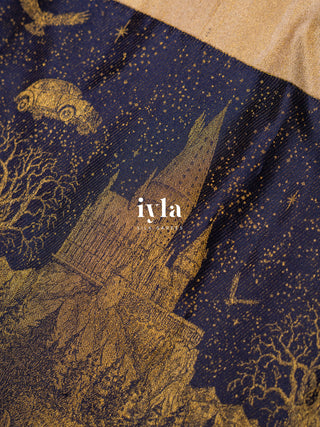 The Wizarding World Kanjeevaram - The Wisdom Edition