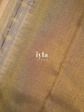 The Wizarding World Kanjeevaram - The Wisdom Edition